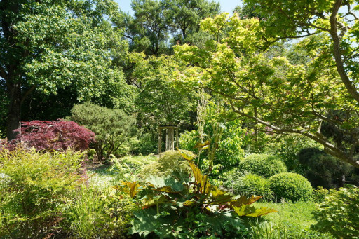 Le Jardin Botanique de Metz propose une nouvelle exposition