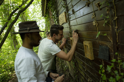 Escape Forest : un escape game convivial à faire en forêt