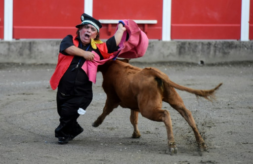Interdit en Espagne, un spectacle de "nains toreros" présenté en France