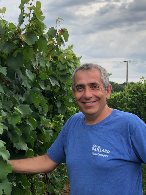 La vigne, une affaire de coopération