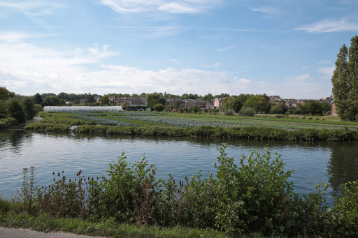 Amiens Métropole et la Safer main dans la main pour développer le maraîchage dans les Hortillonnages