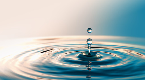 Vers l’Essentiel lance un challenge de sobriété hydrique