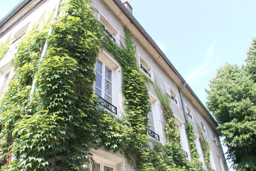 Faut-il inventer d'autres règles pour la rénovation énergétique du bâti ancien ?