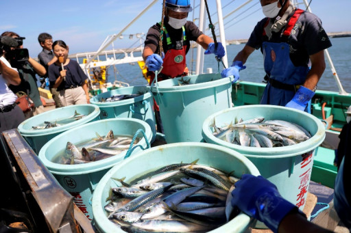 Rejet de l'eau de Fukushima: des pêcheurs portent plainte contre l'Etat japonais