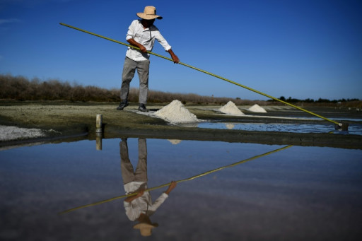 Sel: les producteurs de l'Atlantique mis à mal par le label bio