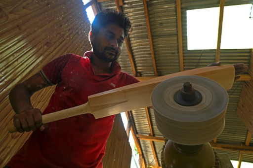La surexploitation des saules du Cachemire menace l'artisanat des battes de cricket