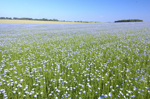 La Chambre d'Agriculture du Nord Pas-de-Calais, au contact direct des élu(e)s