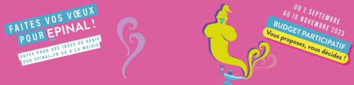 Épinal : trois idées de projets mises au vote