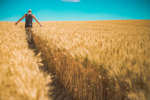 Agriculture : la charte départementale signée en Meurthe-et-Moselle