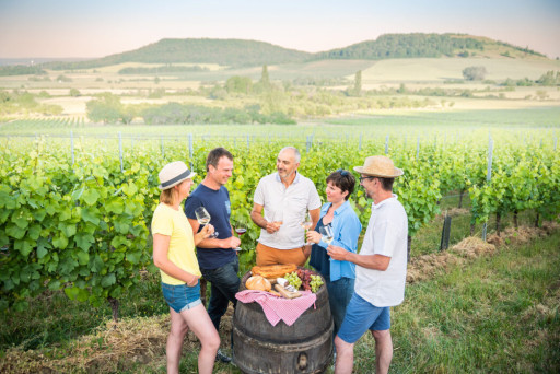 Les vignerons de l’AOC Moselle, de l’IGP Côtes de Meuse et de l’AOC Côtes de Toul s’unissent pour plus de visibilité