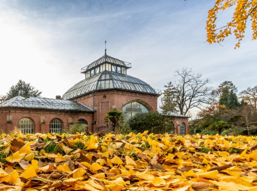 De nouvelles visites guidées à Metz en octobre
