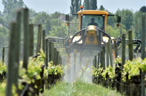 Pesticides et leucémies chez l'enfant: une étude précise les risques liés à la proximité de vignes