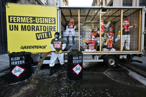 Contre les "fermes-usines", Greenpeace déverse du lisier devant le ministère de l'Agriculture