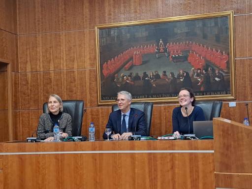Cour administrative d'appel de Douai : réussir le «dernier kilomètre» de l’action publique