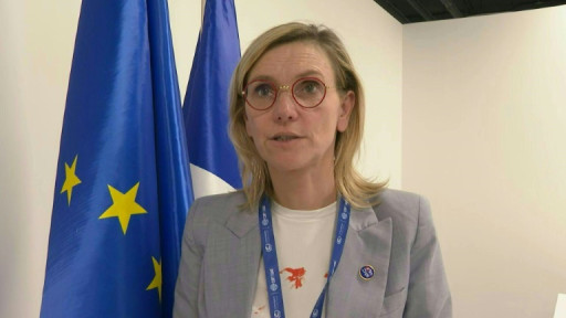 COP28: la France "stupéfaite" et "en colère" après les déclarations de l'Opep (ministre)