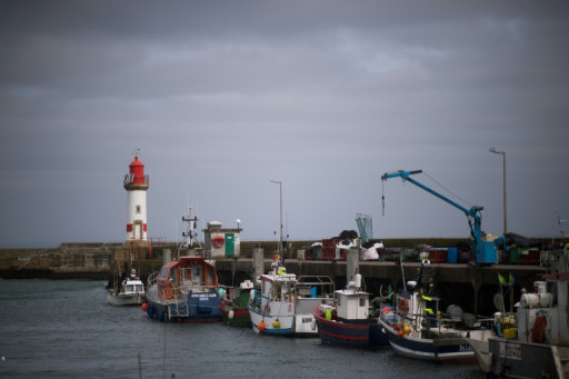 Les poissons d'Oman créent des remous à Lorient
