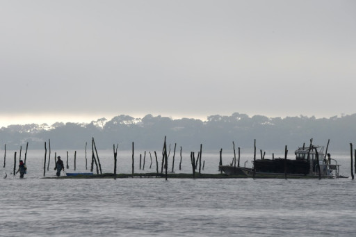 Intoxications: les huîtres du Bassin d'Arcachon interdites à l'approche du Nouvel An