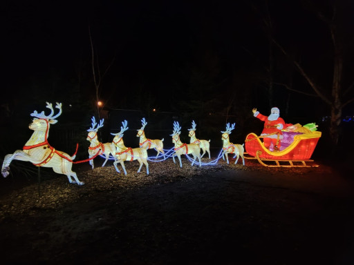 La Moselle dans son écrin de lumière