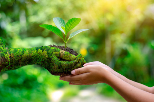 Les « sages » consacrent un droit des « générations futures » en matière environnementale