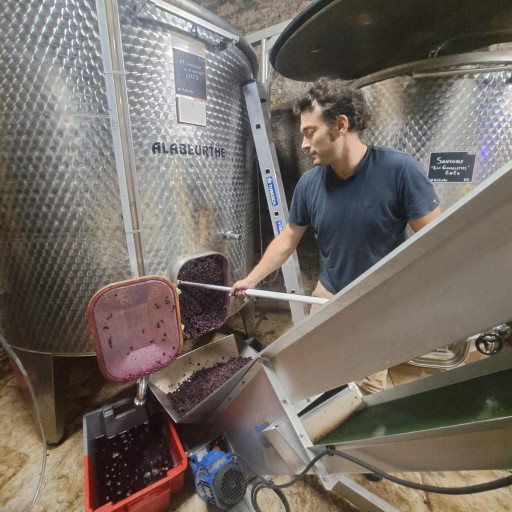 Des vignes et une cuverie au cœur de Dijon