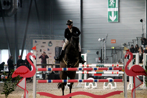 Cheval Expo en approche à Nancy