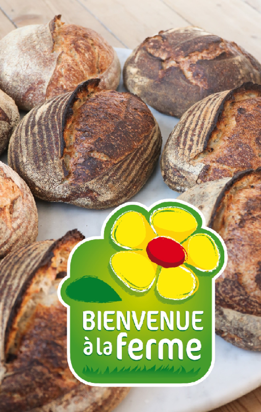 Transformation des céréales : journée d'échanges régionaux à la ferme de la fête à Ménil la Horgne en Meuse