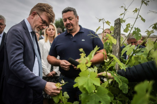 Des vignerons du monde entier à Paris pour séduire les acheteurs