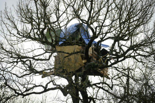 "Déterminés à rester", les zadistes de l'A69 tiennent leur campement