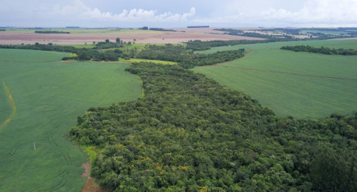 Brésil: au pays des "agrotoxiques", les biopesticides ouvrent une brèche