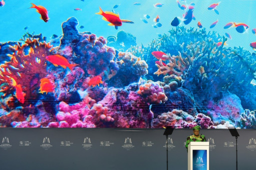L'OMC "prudemment optimiste" au début des négociations sur la pêche et l'agriculture