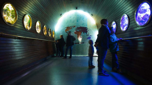 Le Muséum-aquarium de Nancy labellisé «Tourisme et Handicap»
