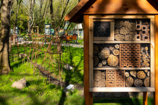 Les associations mosellanes engagées peuvent participer aux Trophées Régionaux pour la Biodiversité Urbaine 2024