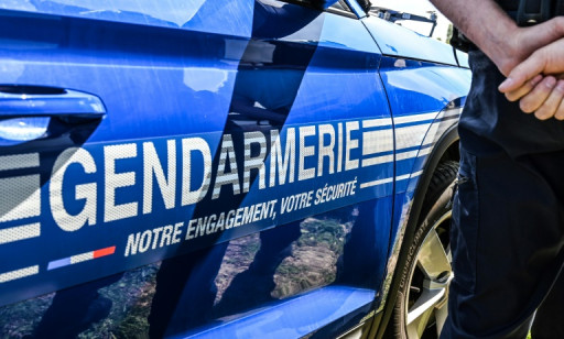 Yvelines: les gérants d'une société d'exploitation forestière interpellés pour trafic de bois vers la Chine