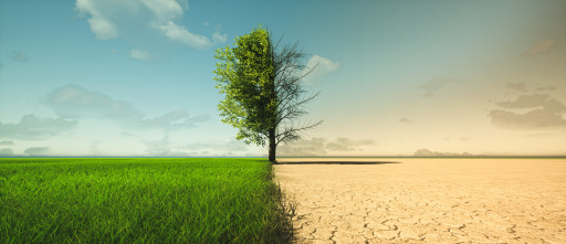 Adaptation au changement climatique : la Cour des comptes juge le bilan de l’action publique insuffisant