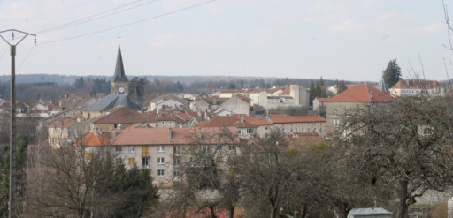 Les projets de Lamarche et Monthureux-sur-Saône approuvés