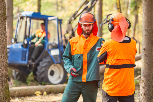 Forêt et Bois de l’Est parmi les trois coopérative forestière créatrice de Forêt d’Ici