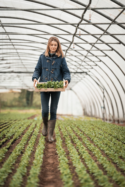 LeCourtCircuit facilite l'approvisionnement local