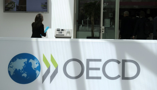 Nouveau record de l'aide publique au développement en 2023, entraîné par l'Ukraine, selon l'OCDE