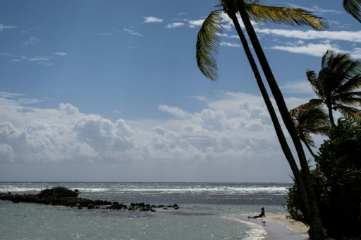 En Guadeloupe, l'aménagement du littoral à l'épreuve d'une érosion déjà très présente