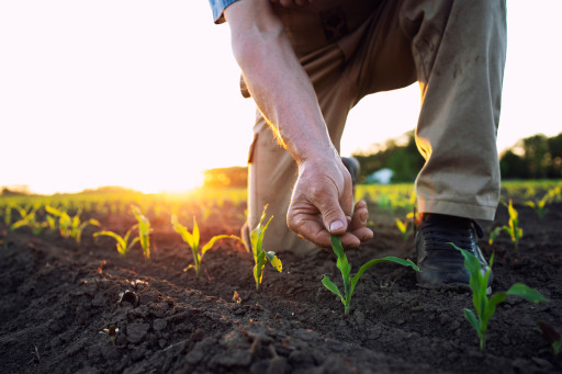 Salon International de l’Agriculture : Saône-et-Loire célèbre la promotion 2024