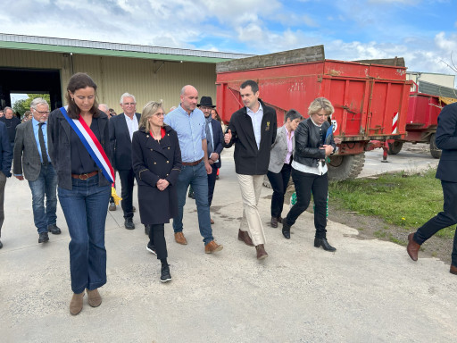 Hauts-de-France : les producteurs d’endives inquiets