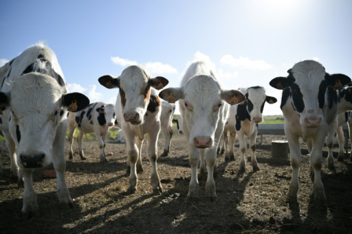 Agriculture: l'Assemblée s'empare du projet de loi pour répondre à la colère