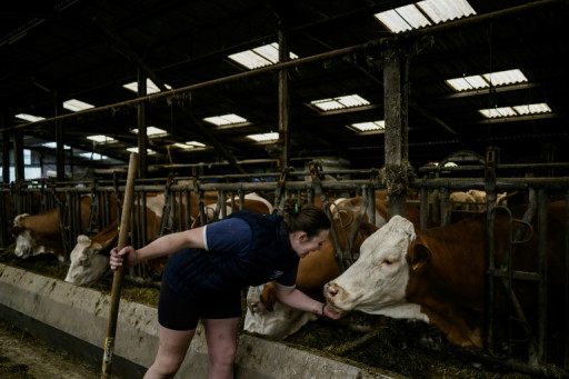 Sur la route des européennes - A Meuvy, "la colère agricole toujours là"