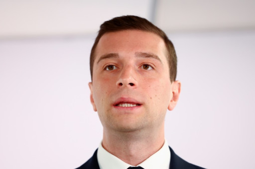 Le RN annonce qu'il ne siègera plus avec son partenaire allemand de l'AfD au Parlement européen