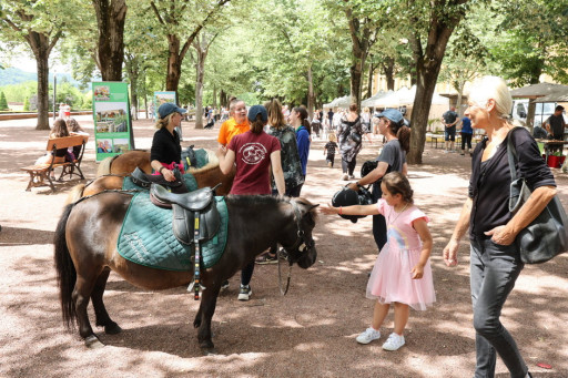 Macellum revient pour une nouvelle édition