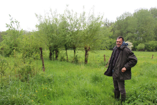 L'agroforesterie pour s'adapter au changement climatique