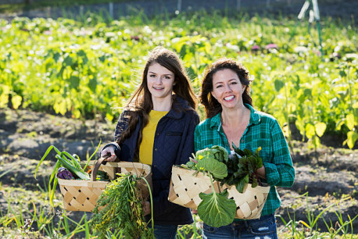 ESS en Moselle : valoriser les initiatives