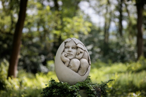 Arnaud Kasper, "l'homme-poisson" qui sculpte la forêt