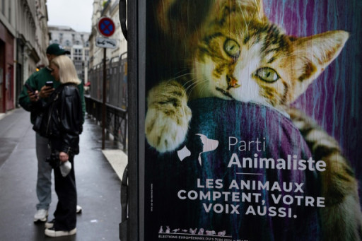 Européennes: les petites listes dénoncent leur faible exposition médiatique