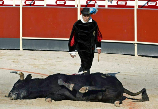 Le tribunal administratif s'oppose au retour de la corrida dans une commune de l'Hérault